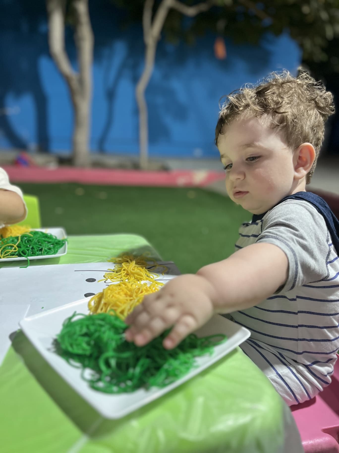 آکادمی باغ ذهن