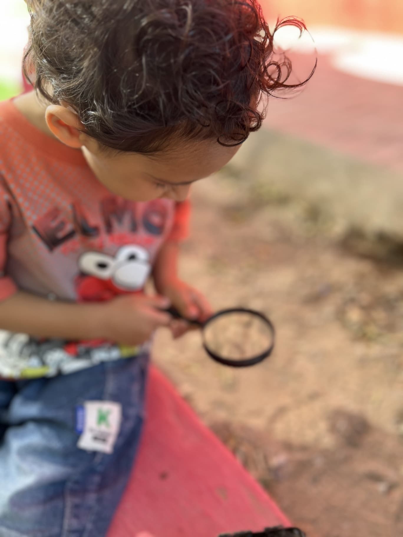 آکادمی باغ ذهن