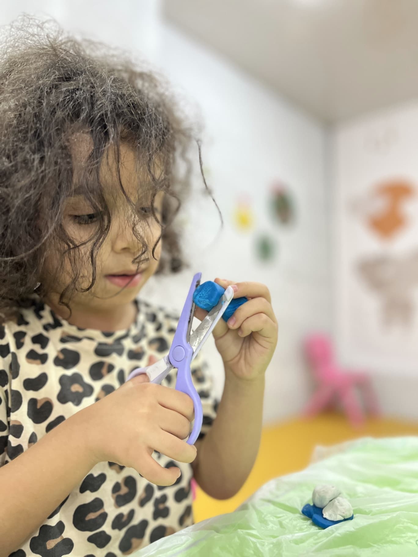 آکادمی باغ ذهن